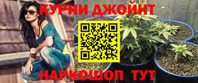 наркотики Гатчина
