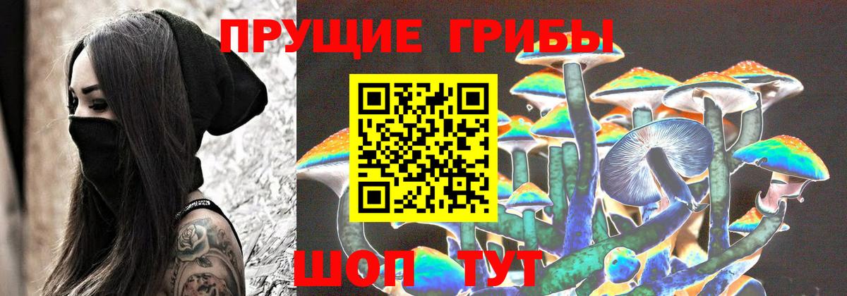 Галлюциногенные грибы Psilocybe Берёзовский